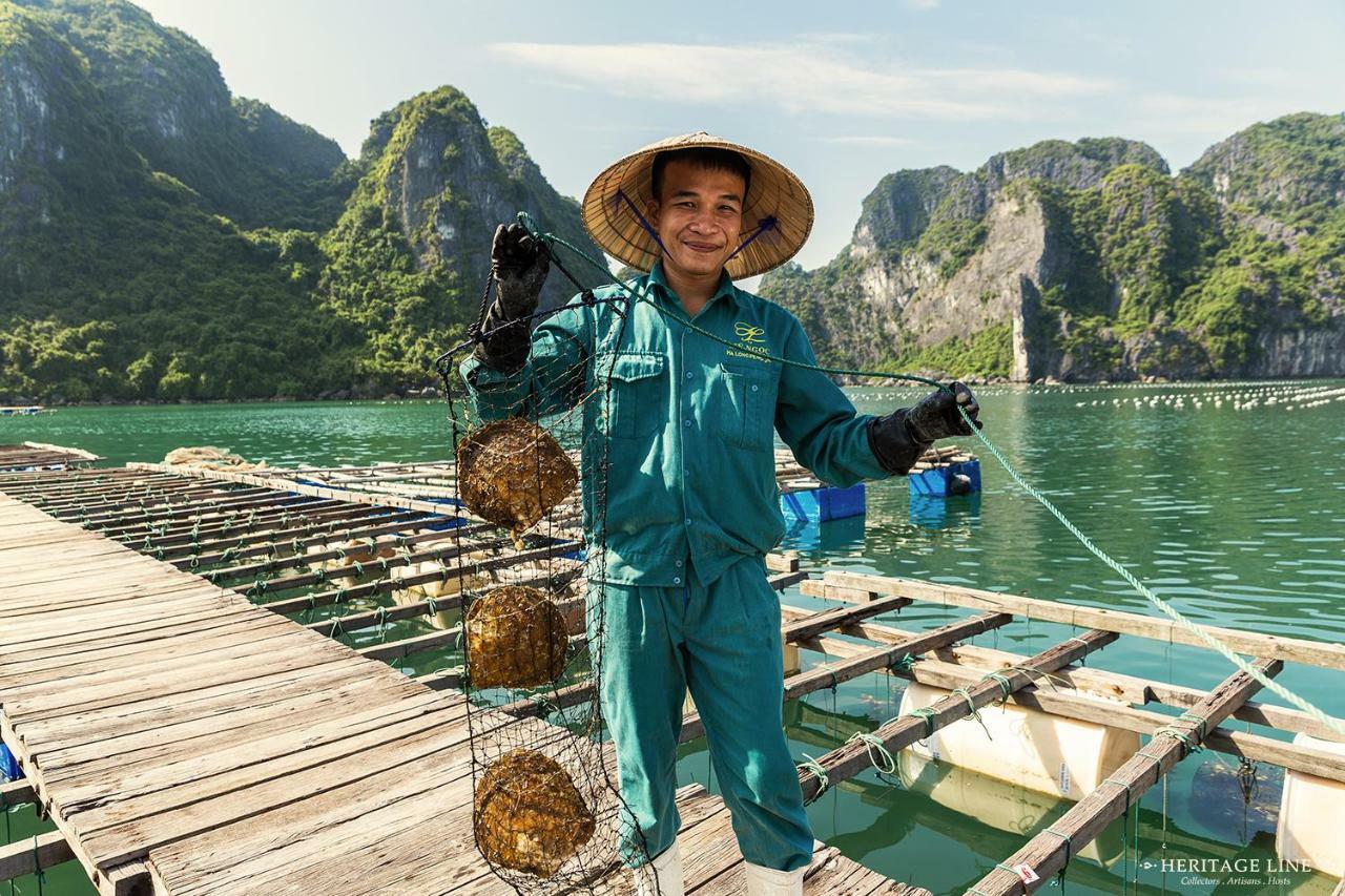 Heritage Line Violet Cruise - Halong Bay & Lan Ha Bay ハロン エクステリア 写真